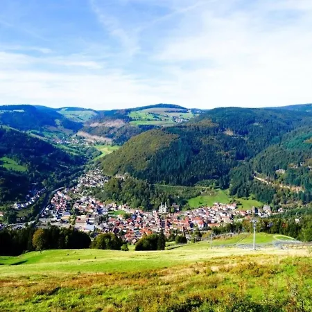 Ferienwohnung - Hasenhornblick Todtnau